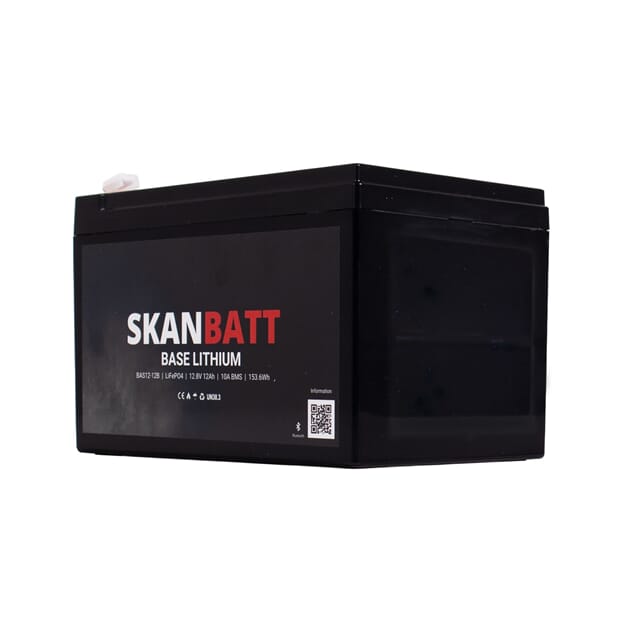 BAS12-12B_Rel BAS12-12B_004.jpg