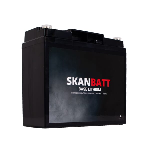 BAS12-20B_Rel BAS12-20B_005.jpg