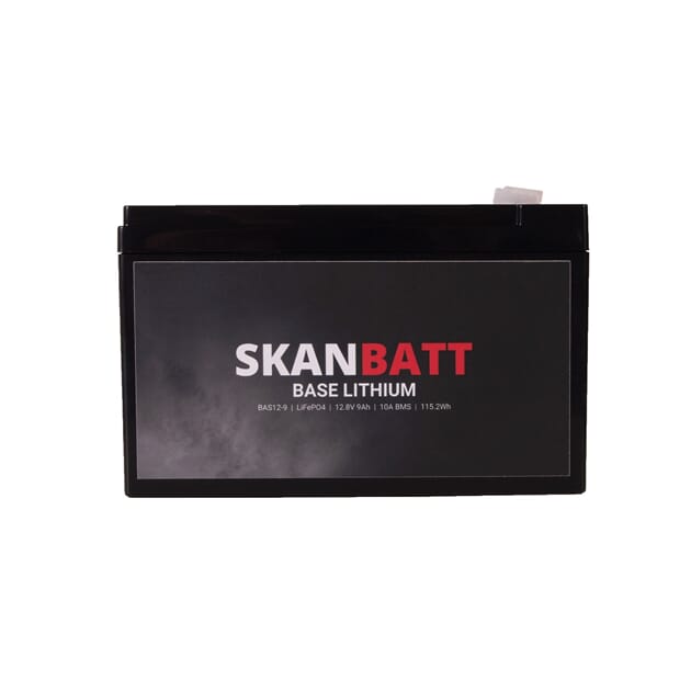 BAS12-9_Rel BAS12-9_005.jpg