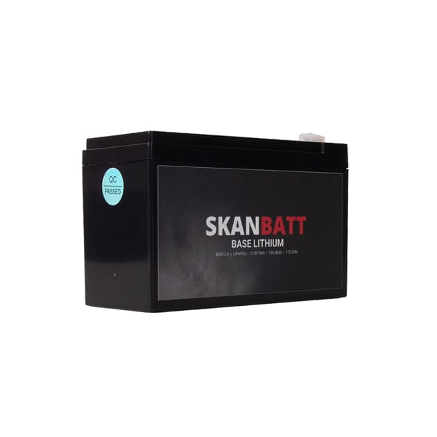 BAS12-9_Rel BAS12-9_007.jpg