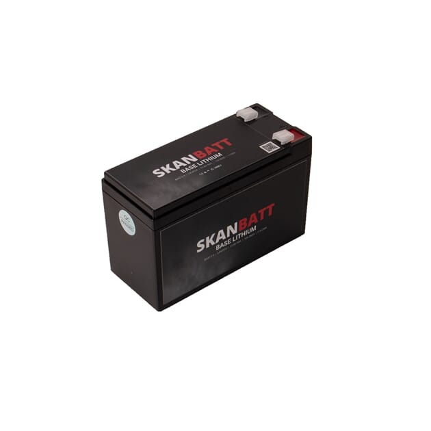 BAS12-9_Rel BAS12-9_008.jpg