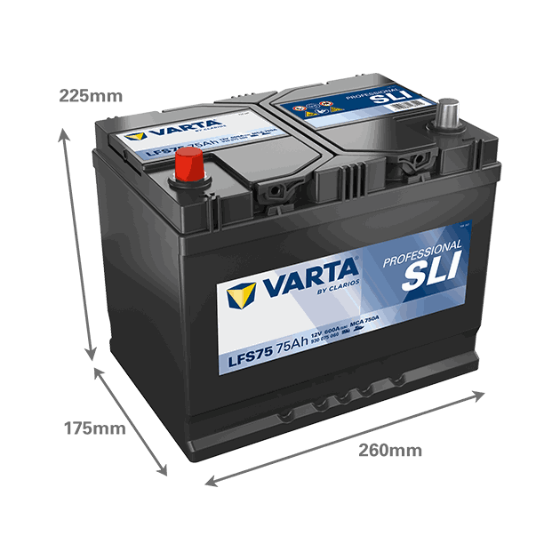 LFS75_Rel LFS75_002.png